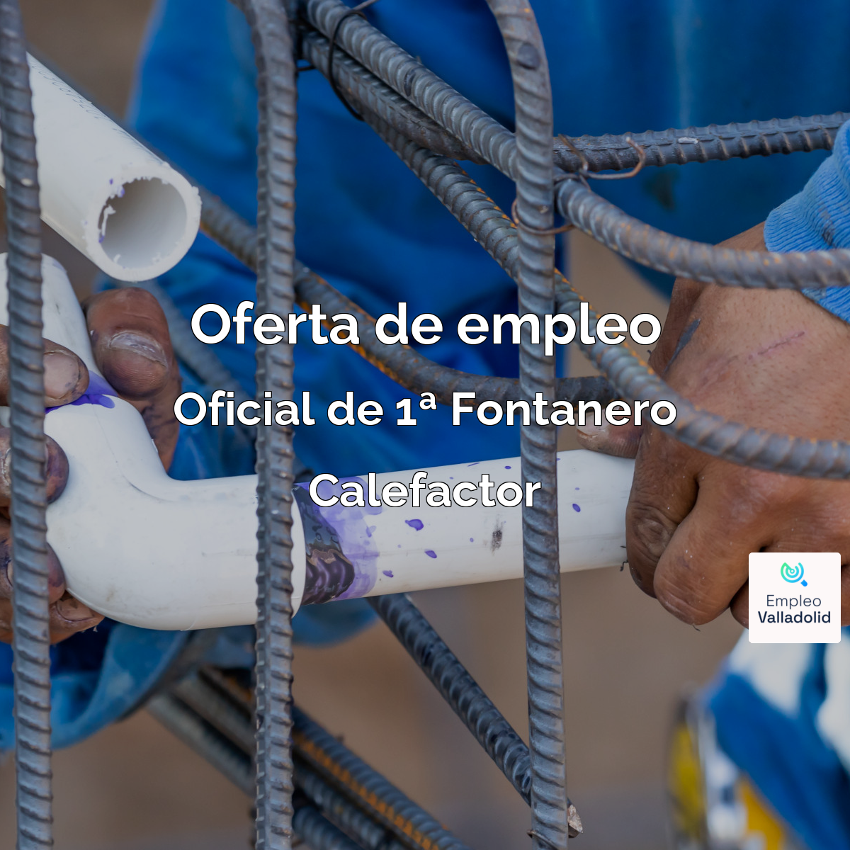 Foto empresa