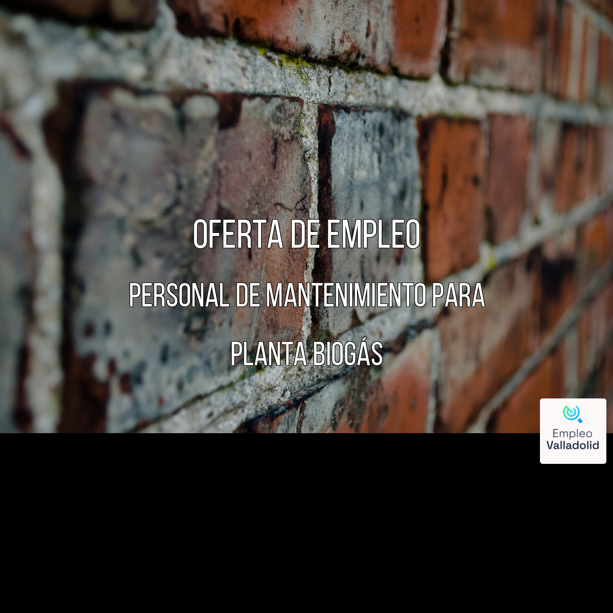 Foto empresa