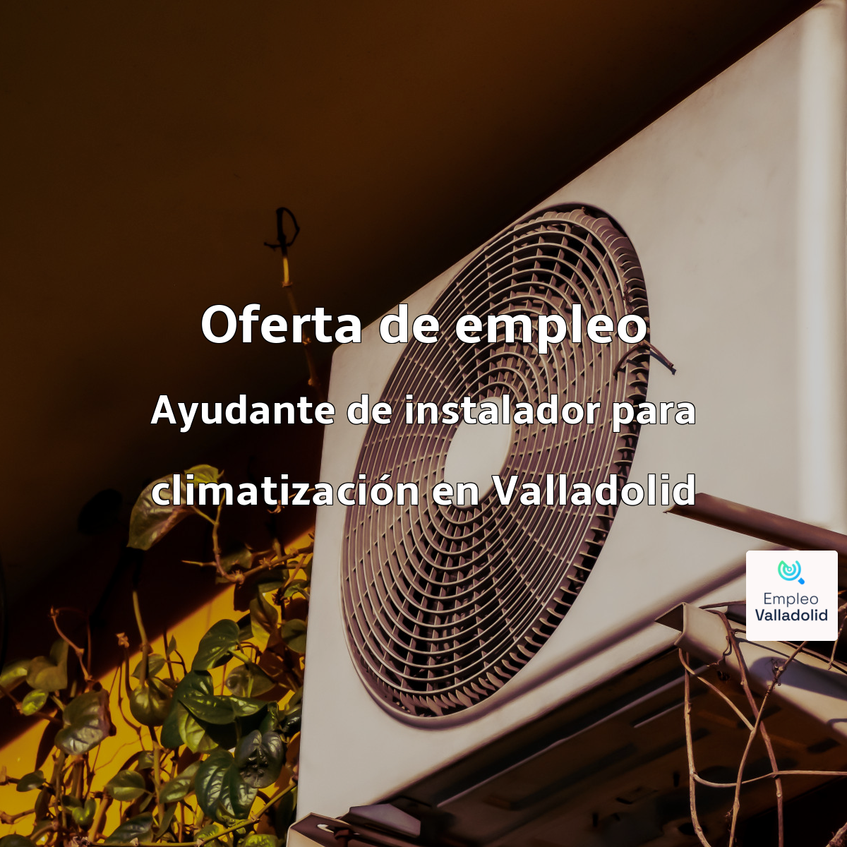 Foto empresa